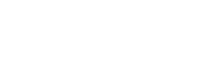 Dr. Argeu Herbster